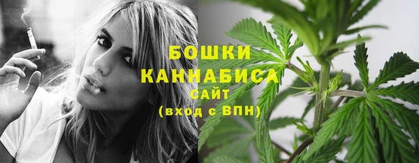 шишки Волосово